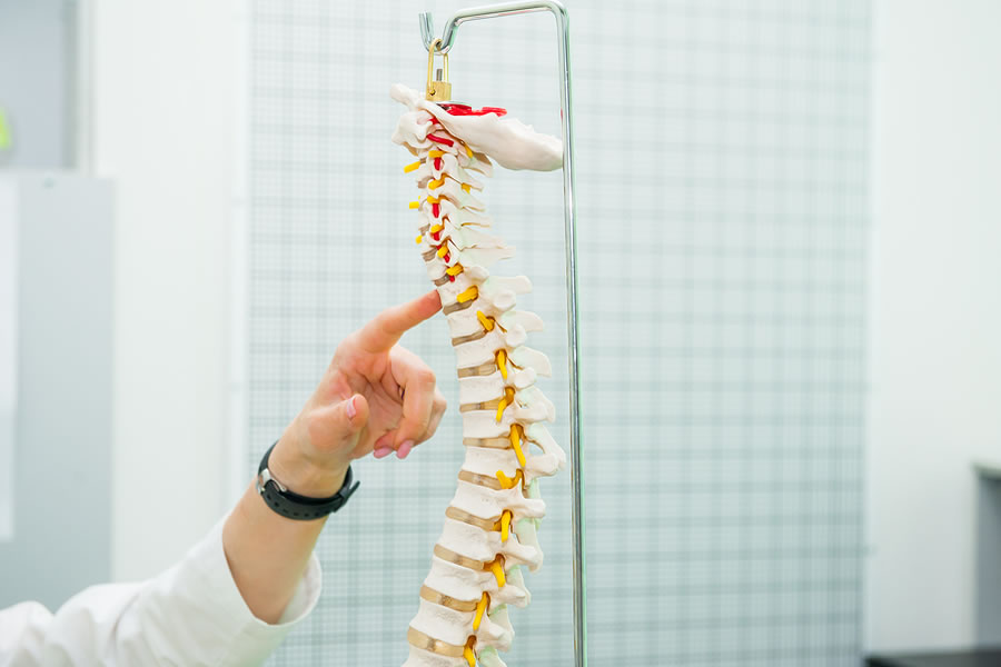 Request-Appointment-Lumina-Chiropractic, showing a hand pointing to a fake spine